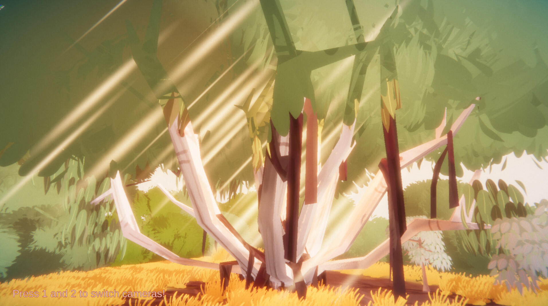 Eucalyptus Tree Vignette